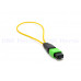 MPO/APC-9/125-12F-LB MPO/APC光纖迴路器單模9/125 12芯低菸無鹵 12 芯MPO-APC母頭 9/125單模光纖環回電纜 MPO迴路電纜 MPO迴路器